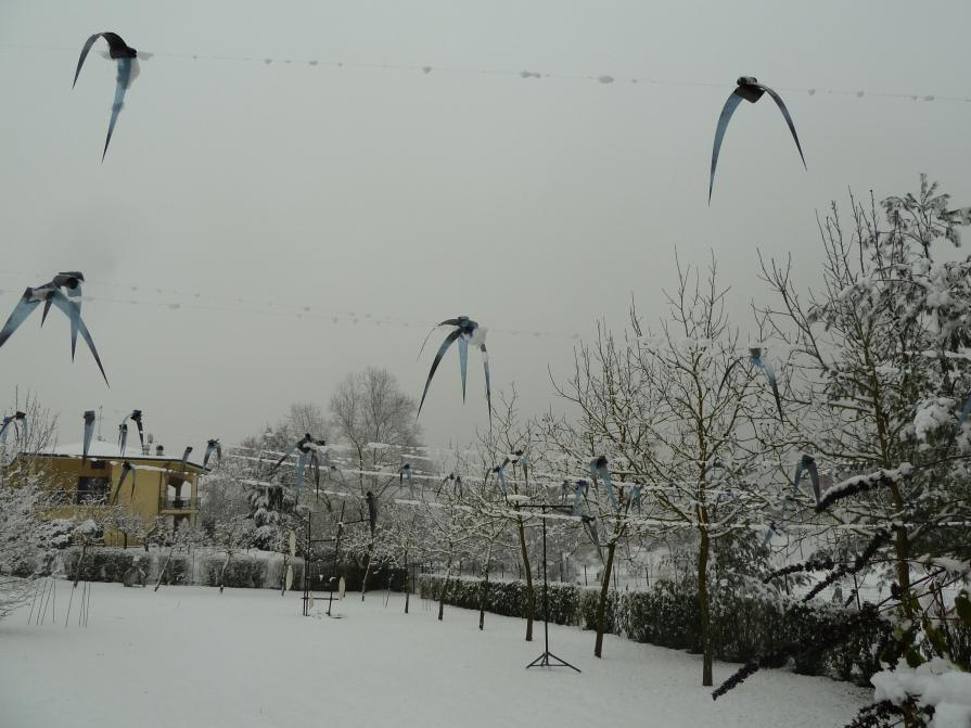 Prima della fine è un volo