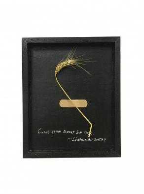 Come from Auver Sur Oise2