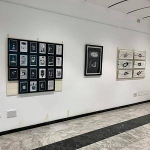 letizia Ardillo-Le forme della conoscenza-DeSidera Art Festival