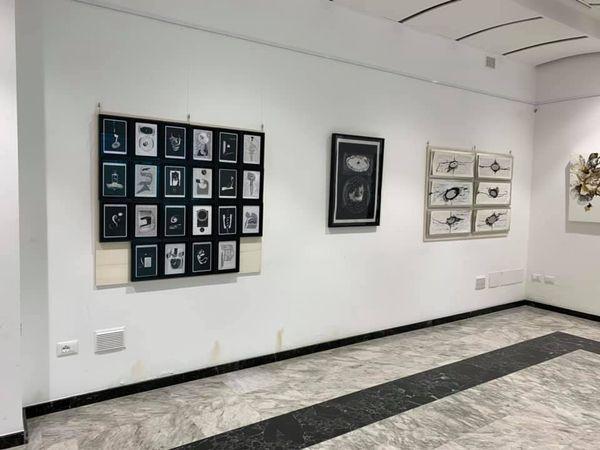 letizia Ardillo-Le forme della conoscenza-DeSidera Art Festival