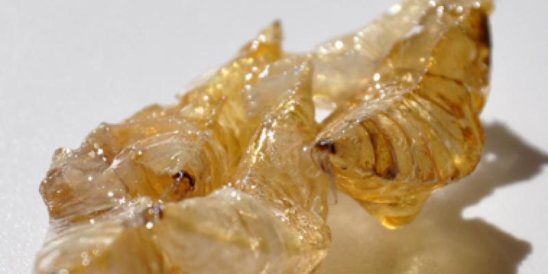 GIOVANI SCULTORI ALLA PERMANENTE - PREMIO LILIANA NOCERA GIOVANI SCULTORI ALLA PERMANENTE - PREMIO LILIANA NOCERA