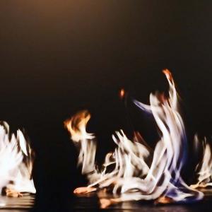 Emozioni tra sogno e realtà MOSTRA FOTOGRAFICA CLUB MERIDIANA