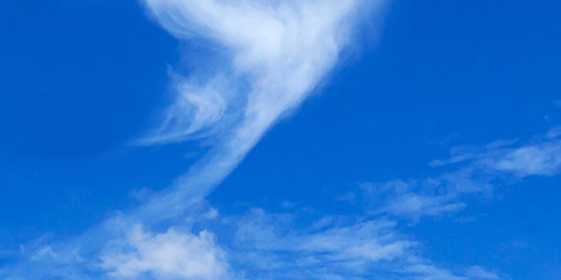 Lapsus - Mostra apre 16 maggio a Firenze