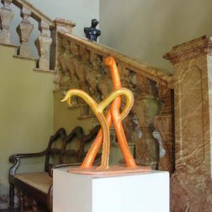 Natura:Luci e Ombre a Modena.