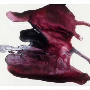 Intervista di Anna Di Matteo e Federica Cammilloni all'artista J.D Doria