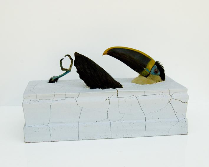 It could not know it