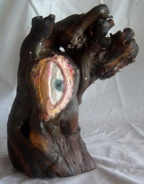 La radica dell'occhio