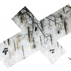 L' Isola del Tesoro - AlternativeVision