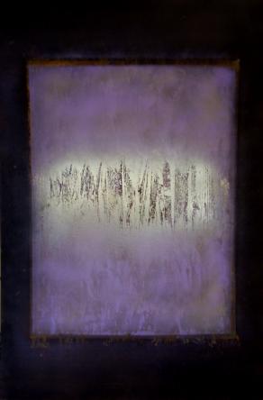 Si espande un volo di farfalle.