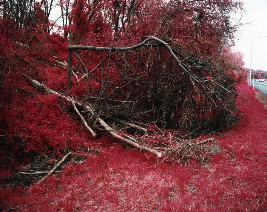 Route 95 (Not a just image, just an image)