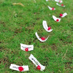 Il sentiero dei petali di pietra