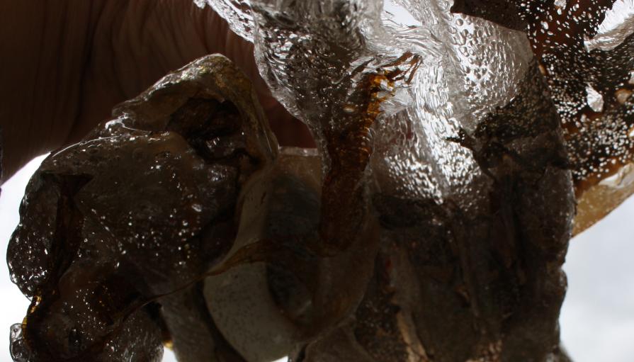 The hell and Back , Inferno e ritorno The hell and Back , Inferno e ritorno