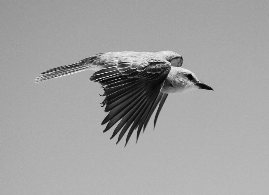 Niente come la natura # 7