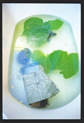 Vasca con tartarughe