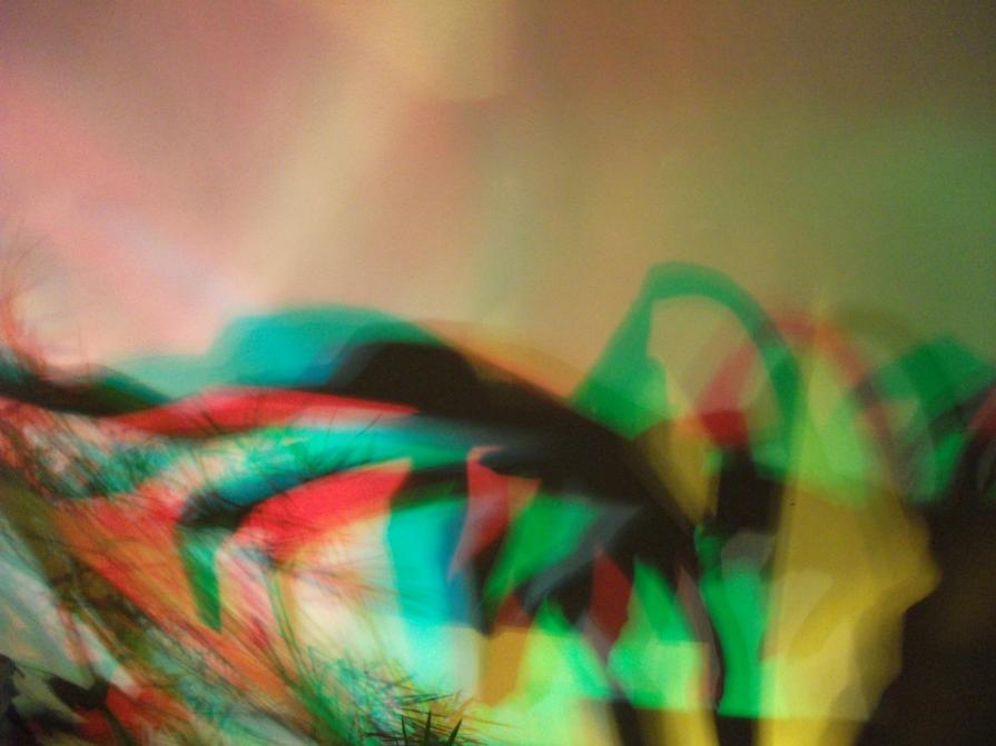 I COLORI DELLA BIODIVERSITÀ