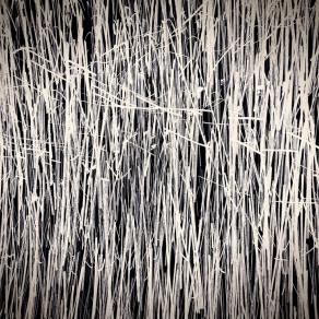 La confusione è necessaria per mettere ordine ( The confusion is necessary to bring order ) 