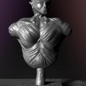 The Bust By Yacine BRINIS 2016 View 10