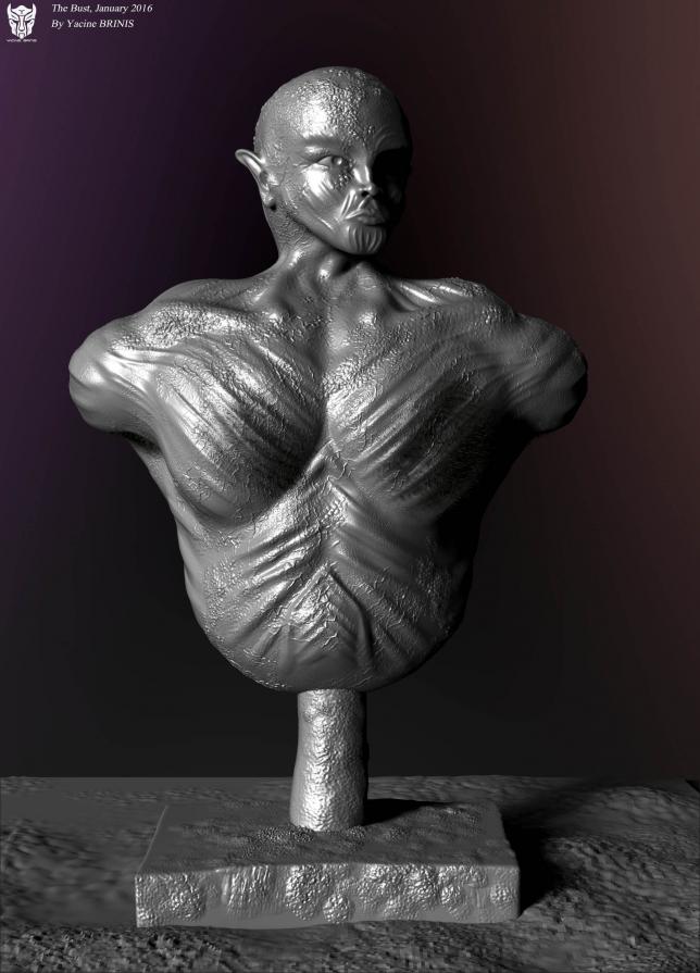 The Bust By Yacine BRINIS 2016 View 10