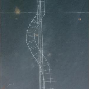 my shadow-graphical spine my shadow-graphical spine