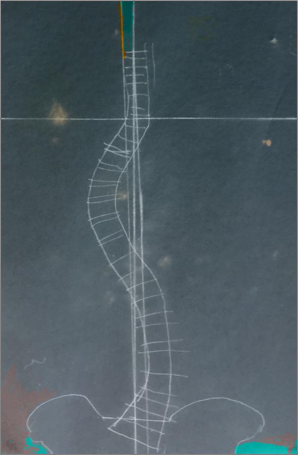 my shadow-graphical spine 