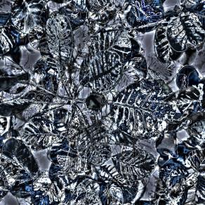 Esperienza autunnale durante la meditazione  - Autumn experience during meditation 