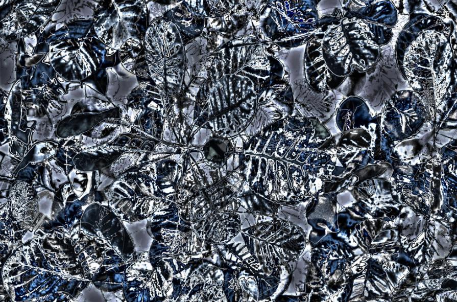 Esperienza autunnale durante la meditazione  - Autumn experience during meditation 