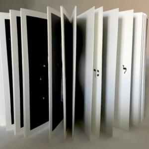 Letizia Ardillo e Yarona Pinhas Visioni Letizia Ardillo e Yarona Pinhas Visioni