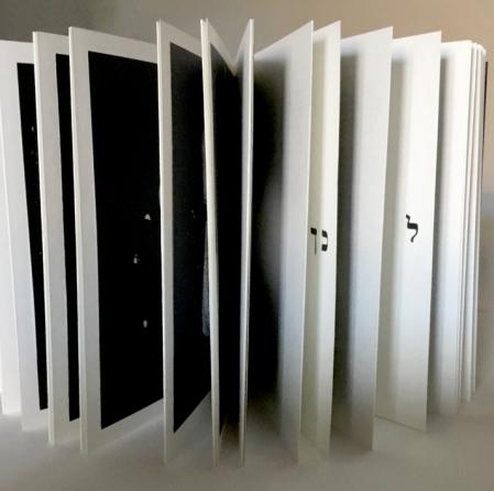 Letizia Ardillo e Yarona Pinhas Visioni