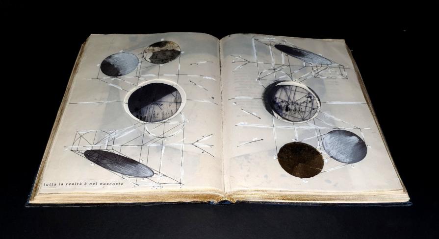 Letizia Ardillo -VISIONI- Letizia Ardillo -VISIONI-