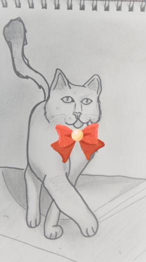             .......  Battito di ciglia lento !!!!