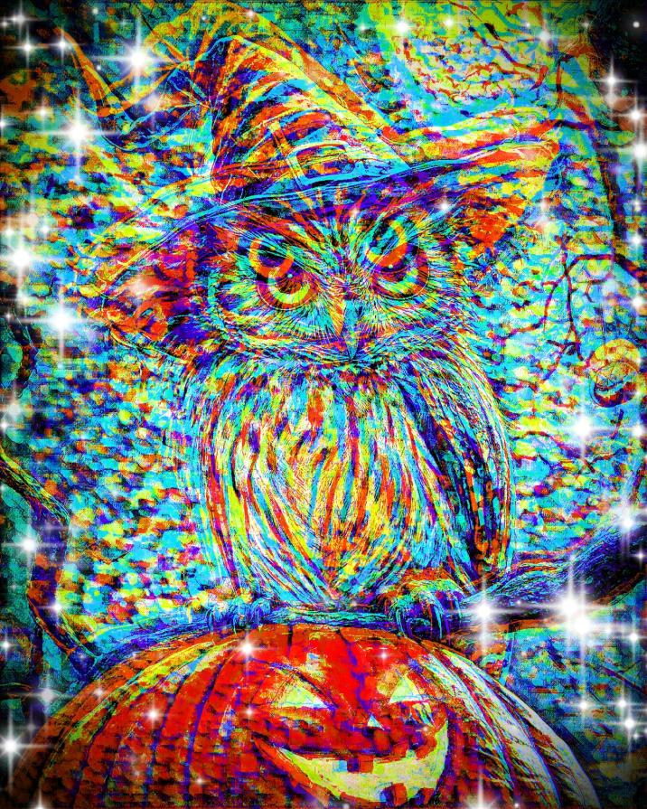 Lascia che la tua immaginazione sia la tua guida.Ti porterà in luoghi magici che non sapevi esistessero