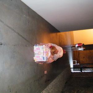 “Art Music Poetry Talk to Us” “Art Music Poetry Talk to Us”