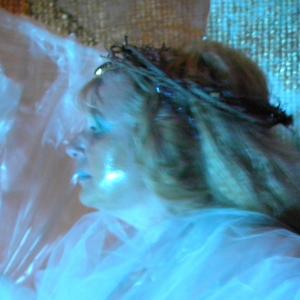 libro LA SIBILLA DI GERUSALEMME di Rosa Didonna libro LA SIBILLA DI GERUSALEMME di Rosa Didonna