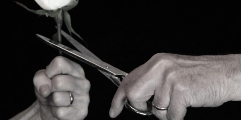 fotografia europea 2010-Reggio Emilia fotografia europea 2010-Reggio Emilia