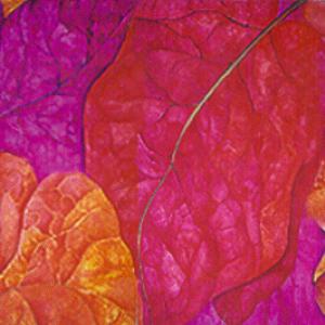 IV°  Step Espositivo Premio Art Abitart