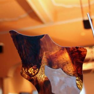 Natura:Luci e Ombre a Modena.