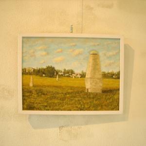 Altra Natura a Revere (mn)