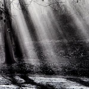 IN SINTESI al Club Meridiana di Casinalbo di Modena 