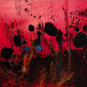 "Born to be alive" - Esposizione in Biblioteca Civica Ragazzi - via Cappello, 43 