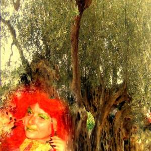 "Potentia divina gratia In Urlo d’Ulivo”di Rosa Didonna "Potentia divina gratia In Urlo d’Ulivo”di Rosa Didonna