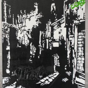 Ginestrelle A.I.R. 2010-2011 presenta l'artista canadese Adrianne Williams 