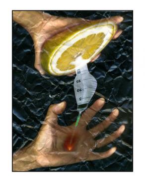 ho detto noooooooooooooooooooooooo