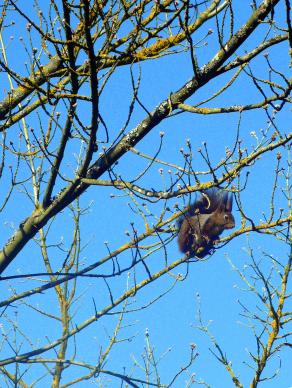 Joyeux printemps à tous !