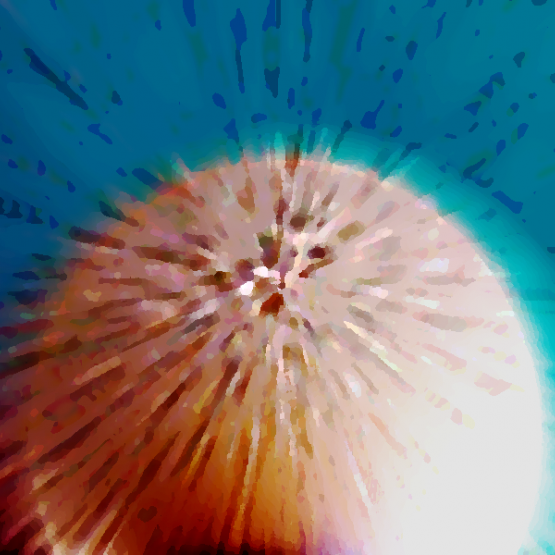 2012 nuovi orizzonti