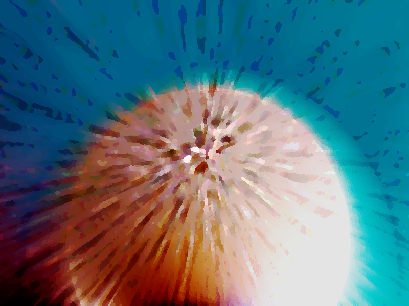 2012 nuovi orizzonti