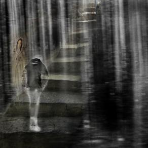 nel mezzo del cammin di nostra vita mi ritrovai per una selva oscura,