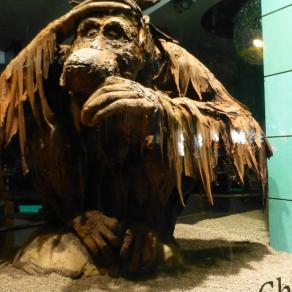 Halloween à Paris !