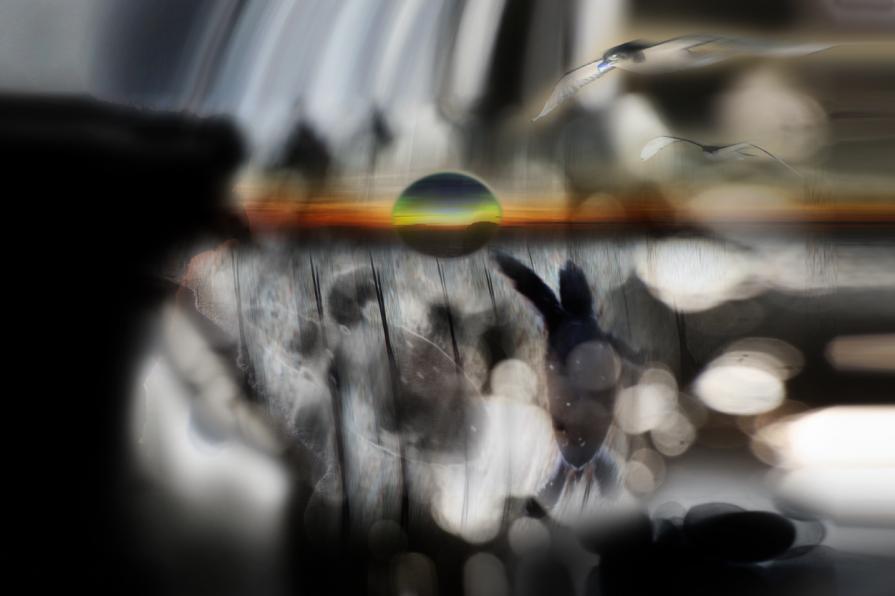 scappate  salvatevi .