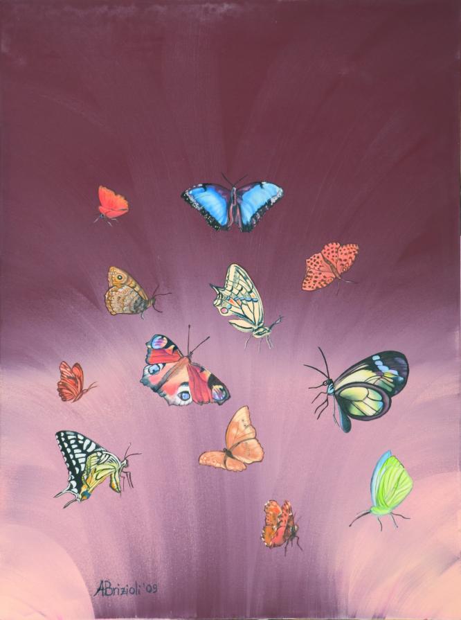 Esplosione di farfalle