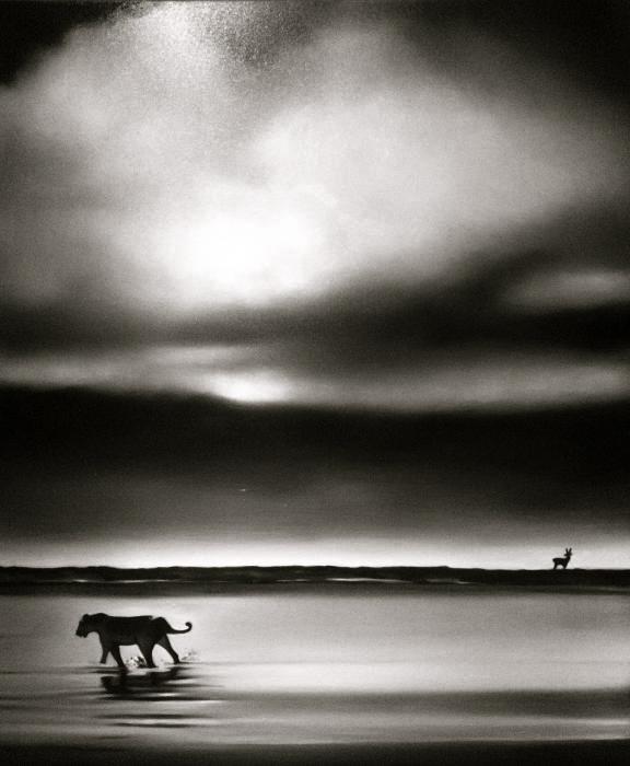 Nel mezzo del cammin......... Nel mezzo del cammin.........